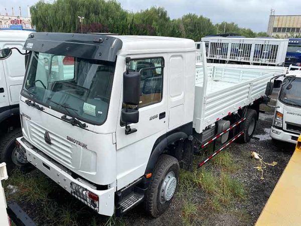 Howo 4X2 Cargo Truck