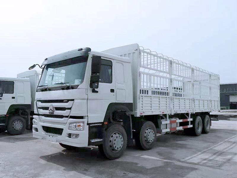 ZZ1317N3867A( ZZ1317M3867A) Howo 8 x 4 Cargo Truck