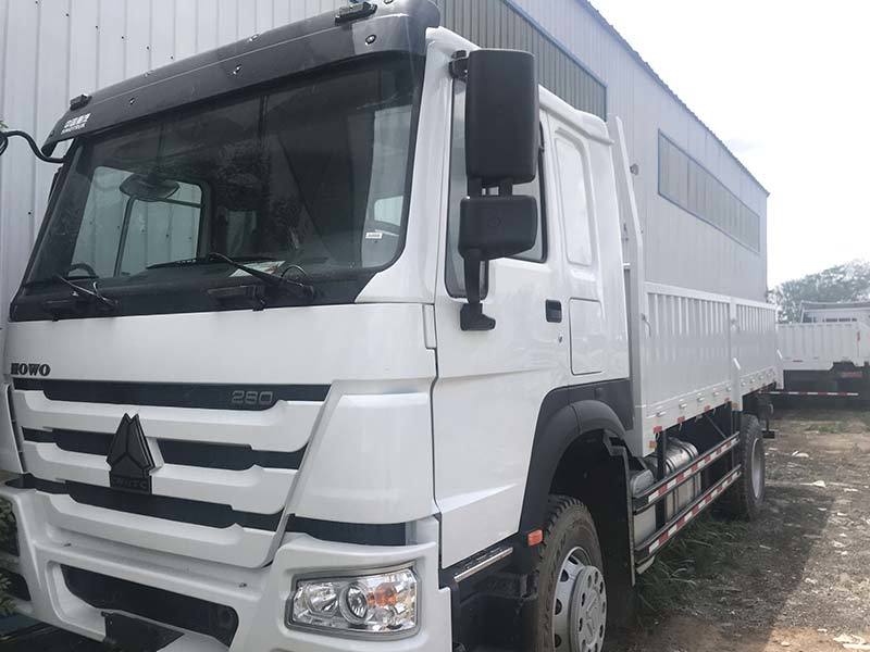 Howo 4X2 Cargo Truck